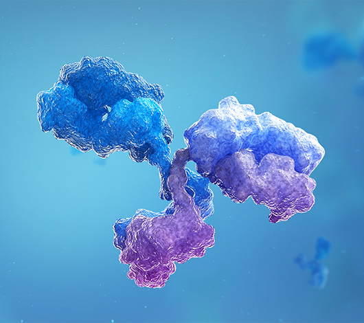 宝船生物制药官网搭建