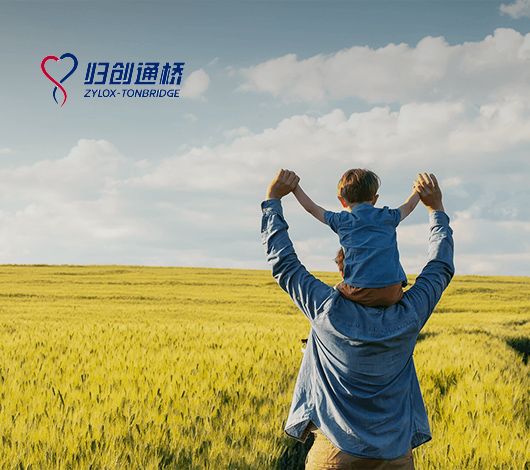 归创通桥网站建设