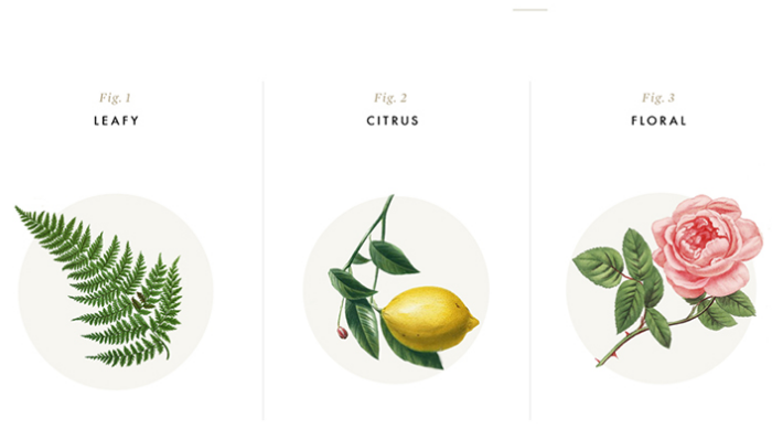 高端网站建设公司