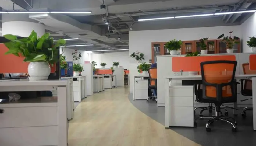 上市集团网站设计