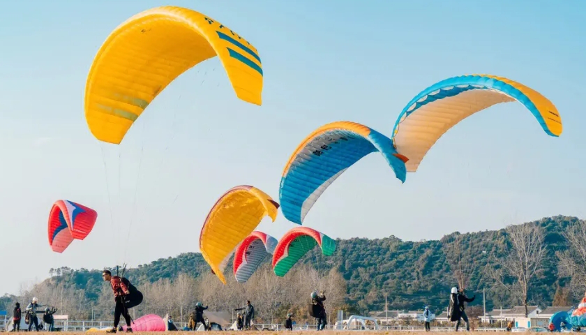 户外品牌网站建设