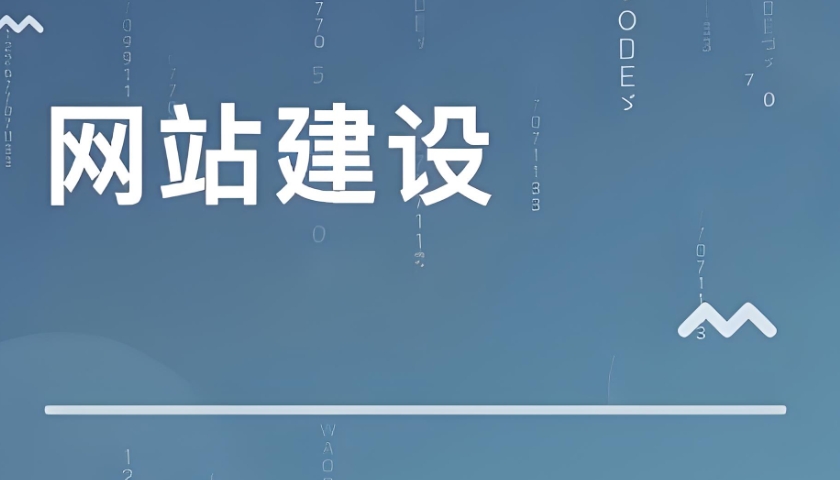 专业网站建设
