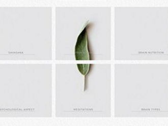 高端网站建设能够让企业曾曾日上