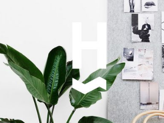 怎样才能高端网站建设更新颖呢